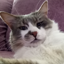 parkivlr#7036's avatar