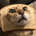 a discord avatar