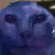 probablynotquentin