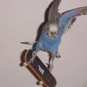 peep3158