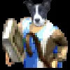 dogwalker9199