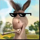 jackass5678