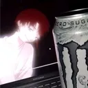 nvshi35
