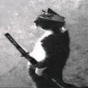 primovga avatar