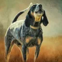 bluetick8495