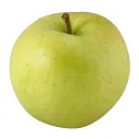 ringo12