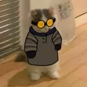 vlakii