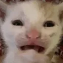 essenger