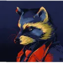 thisraccoon.