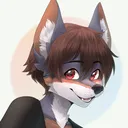 akaimir