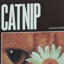 nintendo_cat