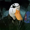 patman224