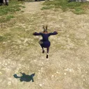 danderedere