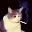 patpixels
