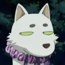 bonkmaykr