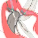 .kcam12