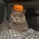 michaellllillill