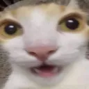 gatigos