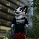 kinipshun