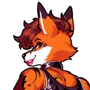 jasonfenex