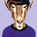 lavendergoat