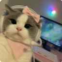 avatar 𐒜𐒐ᎥᎥᎥ