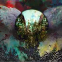 .roguestrix