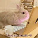 schnucklig