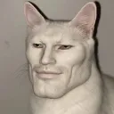 _toni
