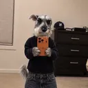 vel0o