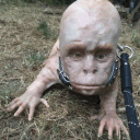 avatar LilBozo