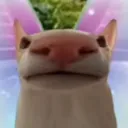 simmercourt