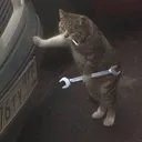 meaowq