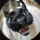 zezoca