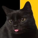 cait_ee
