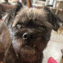 avatar ADrunkCaliburn