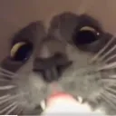 mrraxou