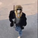 lucasslp
