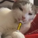 pacificrimjohn