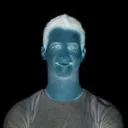 vandelor
