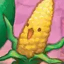 wet.lettuce