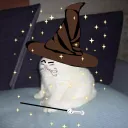 theorgasmicat