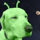 yobble