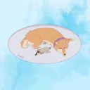 inuvation