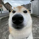 mikeyb222