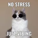 kittycrysis