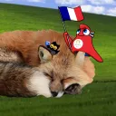 vlacbo