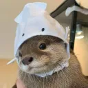 skopii