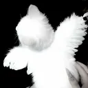 cuttievlx