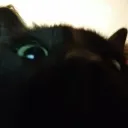 billentyu